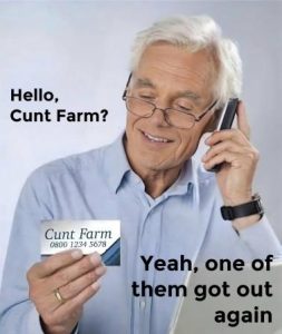 Stupid Bar Memes bd21910b142cf673