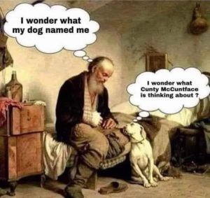 Stupid Bar Memes bf8f95e6f5568614