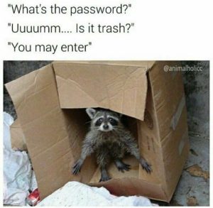 Stupid Bar Memes c0231b8fd8616e39