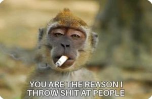 Stupid Bar Memes c5c73b61ee7bfefd