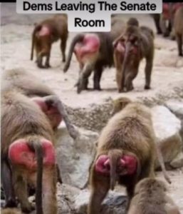 Stupid Bar Memes c8353efac765294d