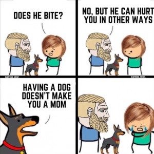 Stupid Bar Memes c9c2ba4b45858ec9