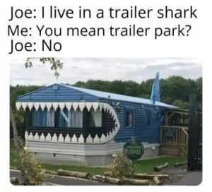 Stupid Bar Memes d119b36694b9ba8c
