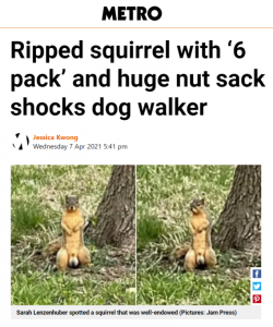 Stupid Bar Memes d1252387542ff13f