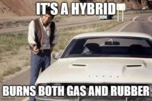 Stupid Bar Memes d21b8ea758c7103f