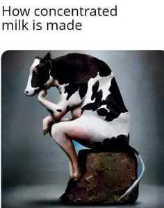 Stupid Bar Memes d2927512e46367a5