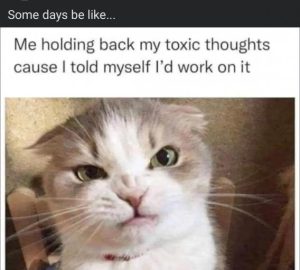 Stupid Bar Memes d3a0a4858b823e3e
