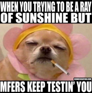 Stupid Bar Memes da09bd061ec805f4