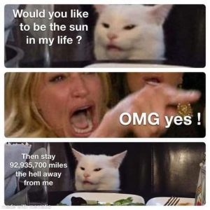 Stupid Bar Memes dacfbf10ead24526
