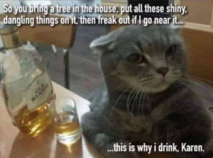 Stupid Bar Memes dbb9e3d1331a0e51