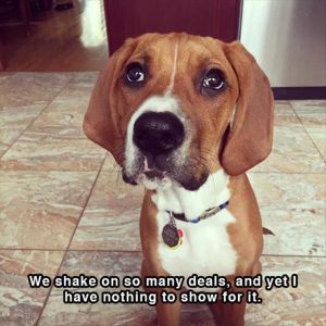 Stupid Bar Memes dogsshowersthoughtss5