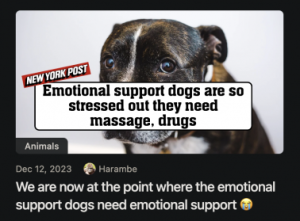 Stupid Bar Memes e3c58bdf29362a59