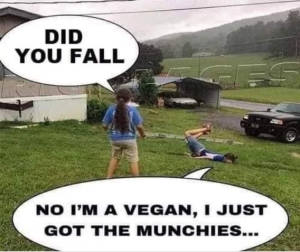 Stupid Bar Memes e53a621b96182971