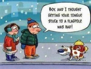 Stupid Bar Memes e5bf2150585fd2de