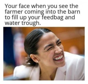 Stupid Bar Memes e844c6fe5e217fba