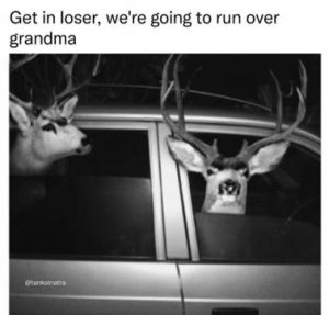 Stupid Bar Memes ec4eba216b8778fb