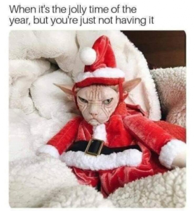 Stupid Bar Memes ecf17b9ac5ff3818