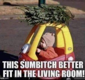 Stupid Bar Memes ed9fe58241f48bce