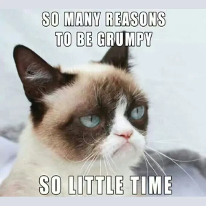 Stupid Bar Memes erftgyh76