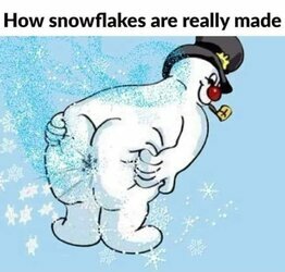 Stupid Bar Memes f0dcb5a13adb4eee