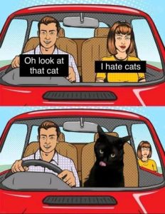 Stupid Bar Memes f2bbdcc5dc4c9045