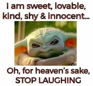 Stupid Bar Memes f2ca397617adfa0e