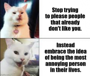 Stupid Bar Memes f4fc560e7f5f8039
