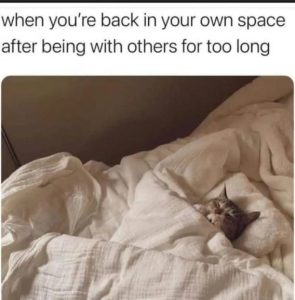 Stupid Bar Memes f51e45809023286a