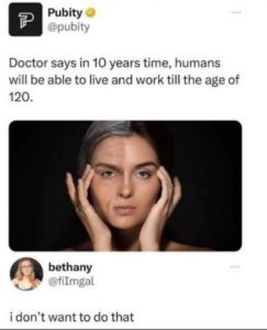 Stupid Bar Memes f5af02660d3af6db