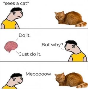 Stupid Bar Memes f647cad41ad45648