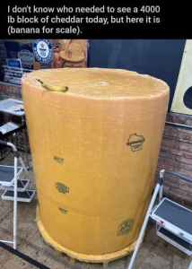 Stupid Bar Memes f79a035a5706afe1