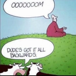 Stupid Bar Memes f9d8a8d5775cb602