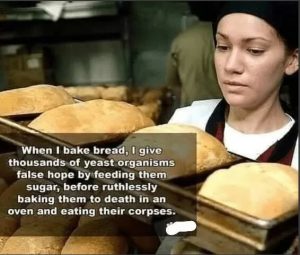 Stupid Bar Memes f9e70dd5051a1956
