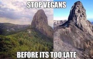 Stupid Bar Memes fbaa75e81c90e33e