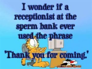 Stupid Bar Memes fdf0222410a78f72