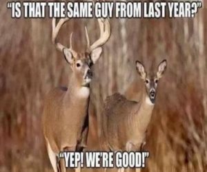 Stupid Bar Memes fec60f8d64de29b4
