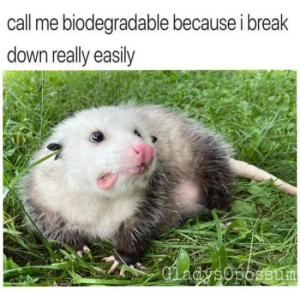 Stupid Bar Memes fwml0hx