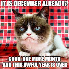Stupid Bar Memes imagc4rfty
