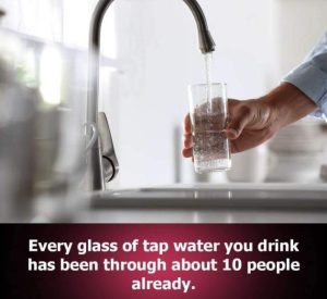 Stupid Bar Memes mHzSwv4