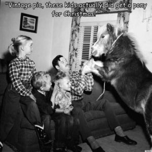 Stupid Bar Memes morningspicss3895s640s15