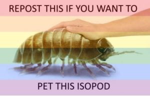 Stupid Bar Memes ohYUkAK