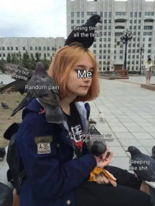 Stupid Bar Memes tGbi8lf