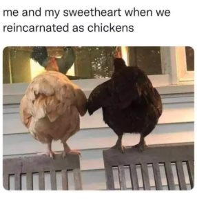 Stupid Bar Memes wholesomesmemes7