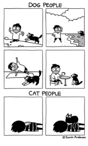 Stupid Bar Memes xEWEpED