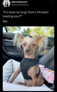 Stupid Bar Memes yh24pZ4