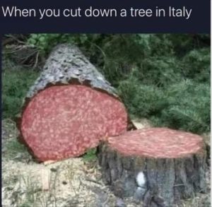 Stupid Bar Memes yourescuttingsdownsastree