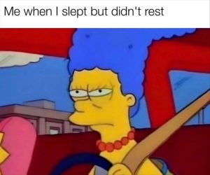 Stupid Bar Memes youressleepy