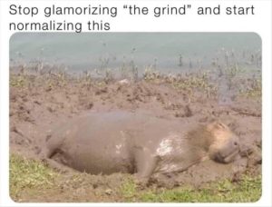 Stupid Bar Memes youreswantingsasnap