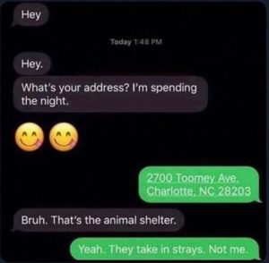 Stupid Bar Memes youreswantingsthesaddress