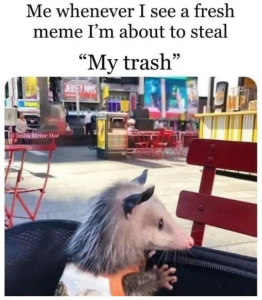 Stupid Bar Memes z5RzgwZ